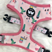 Load image into Gallery viewer, Lydia the llama - reversible harness
